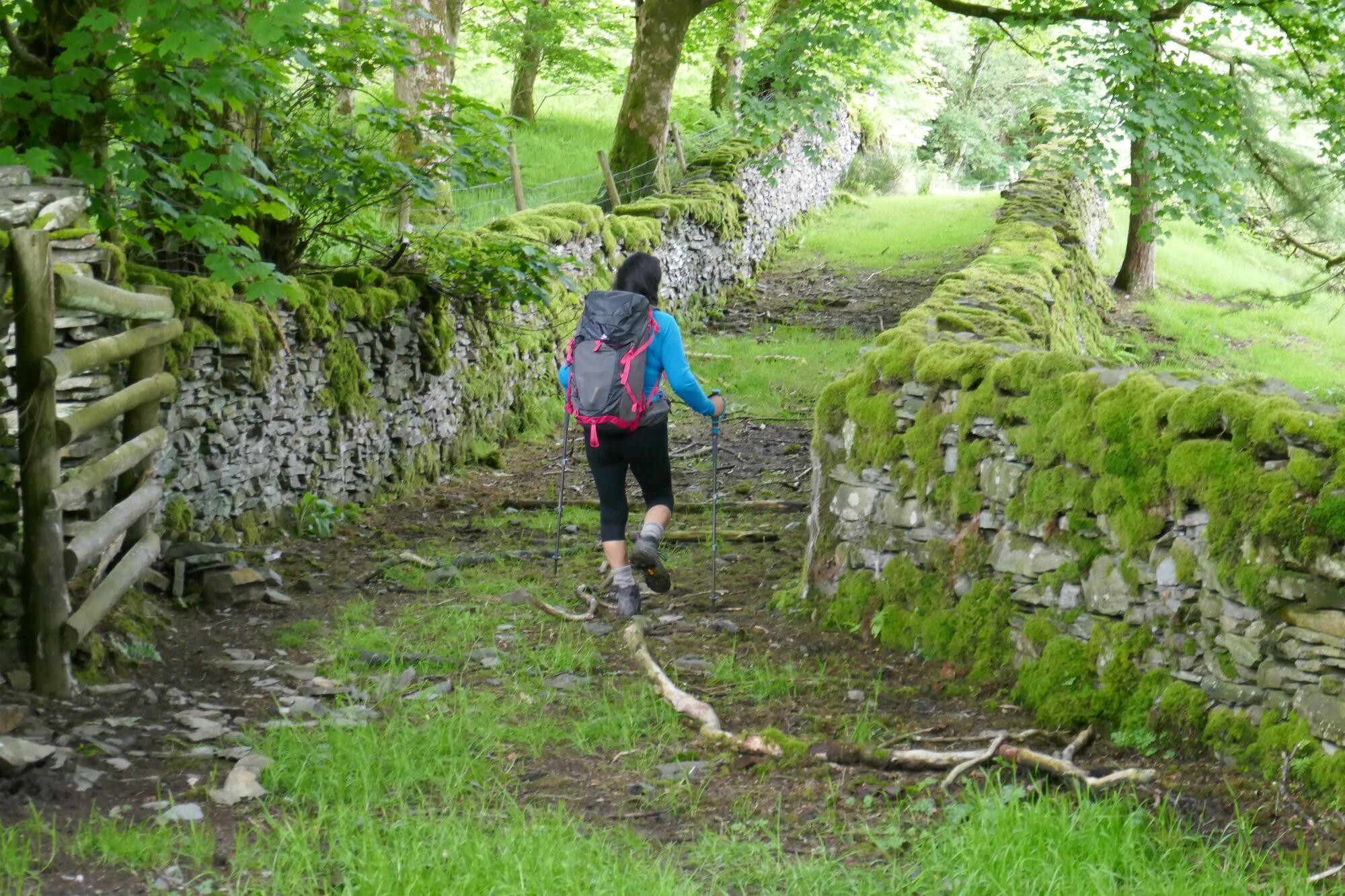 RachelSeabrook.net | Wild Walking | Devils-Bridge; pic32